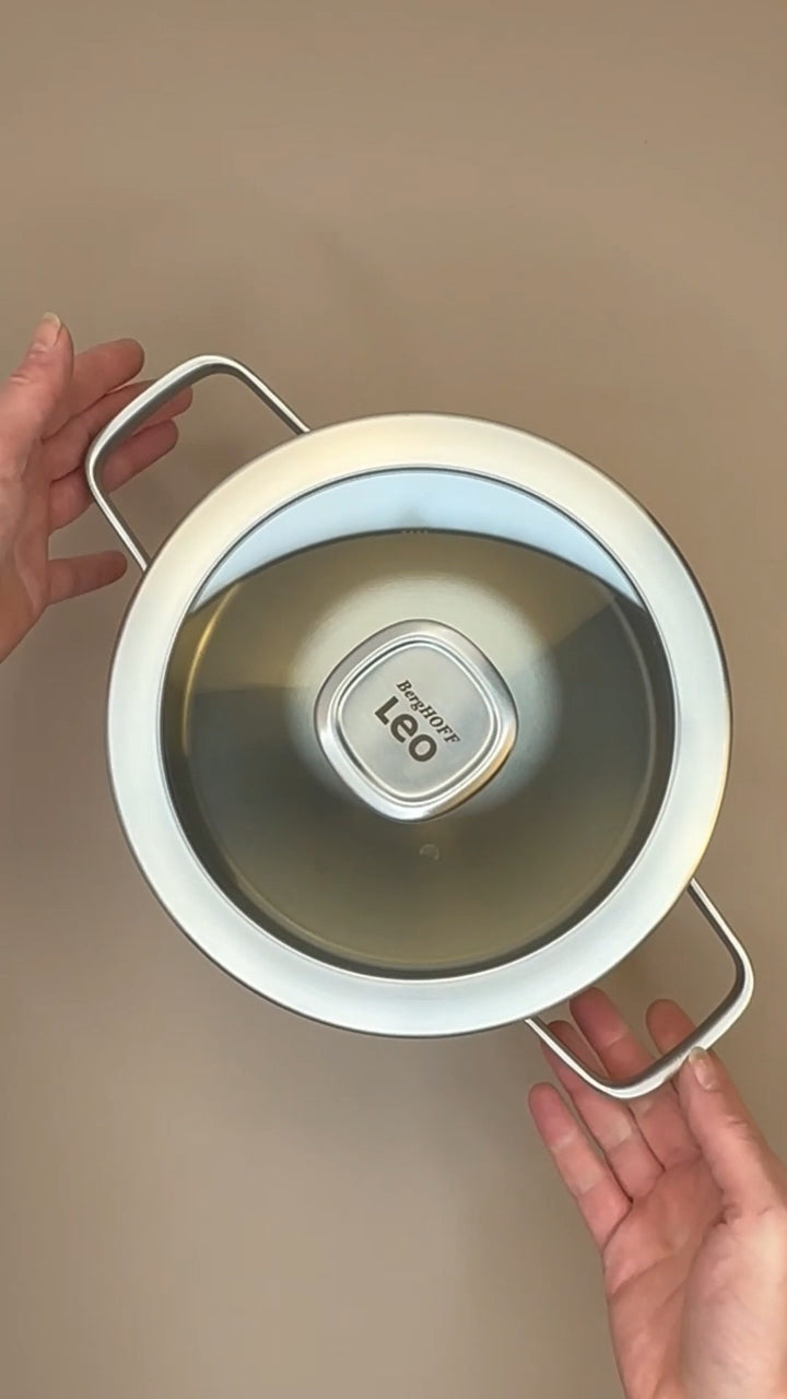 LEO Kochtopf mit Deckel Graphit - Ø 20cm
